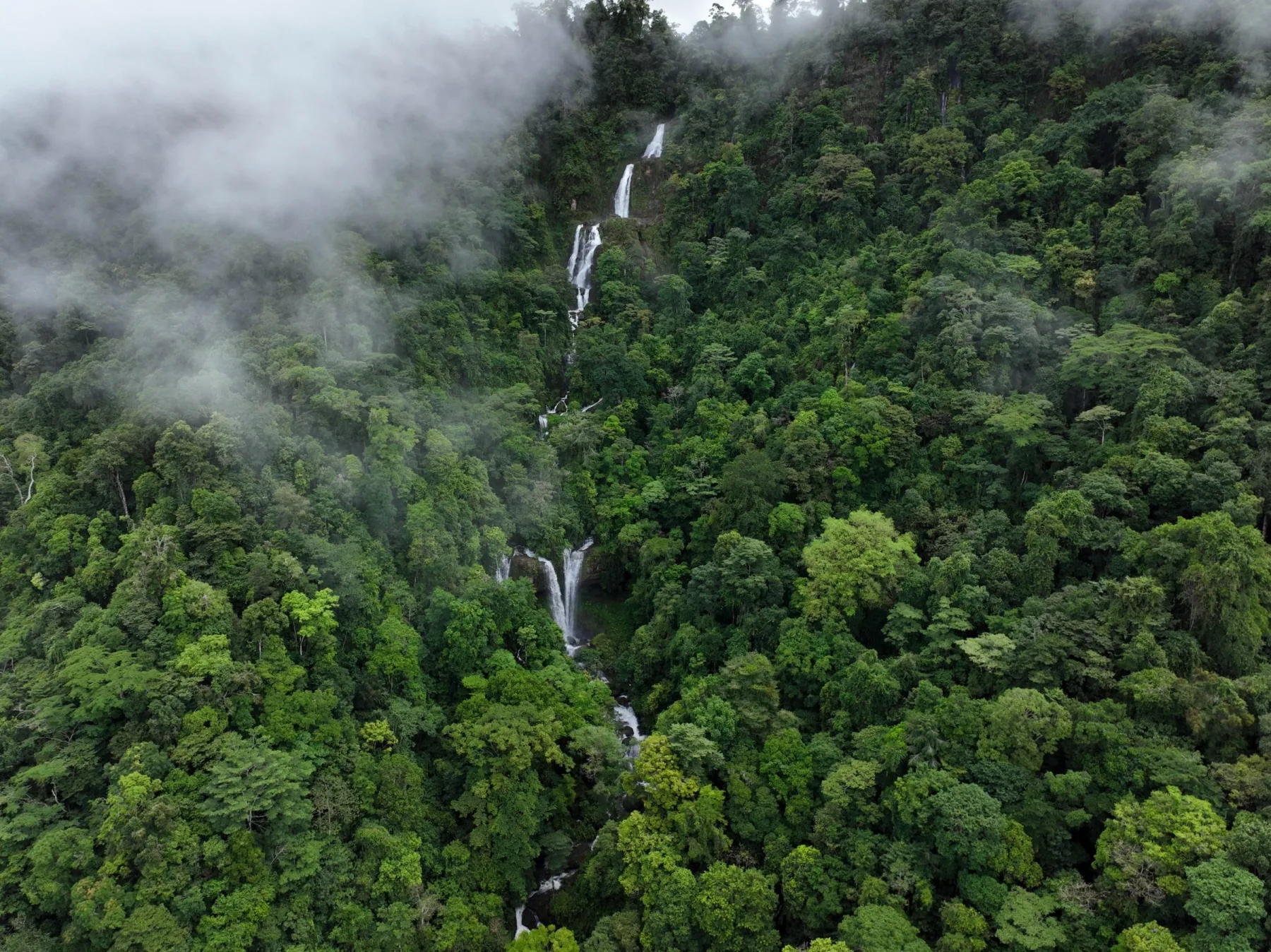 Waterfall flowing through dense Costa Rican rainforest