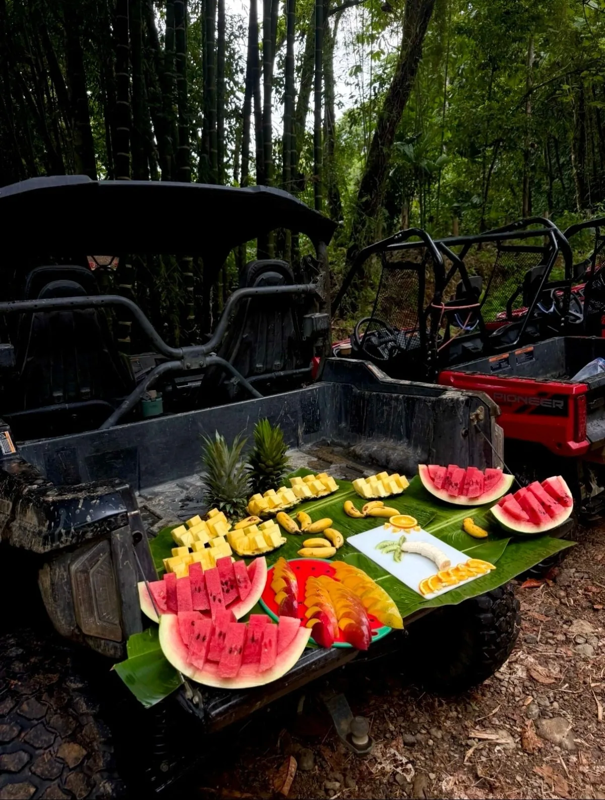 ATVs set beside a spread of fresh tropical fruit
