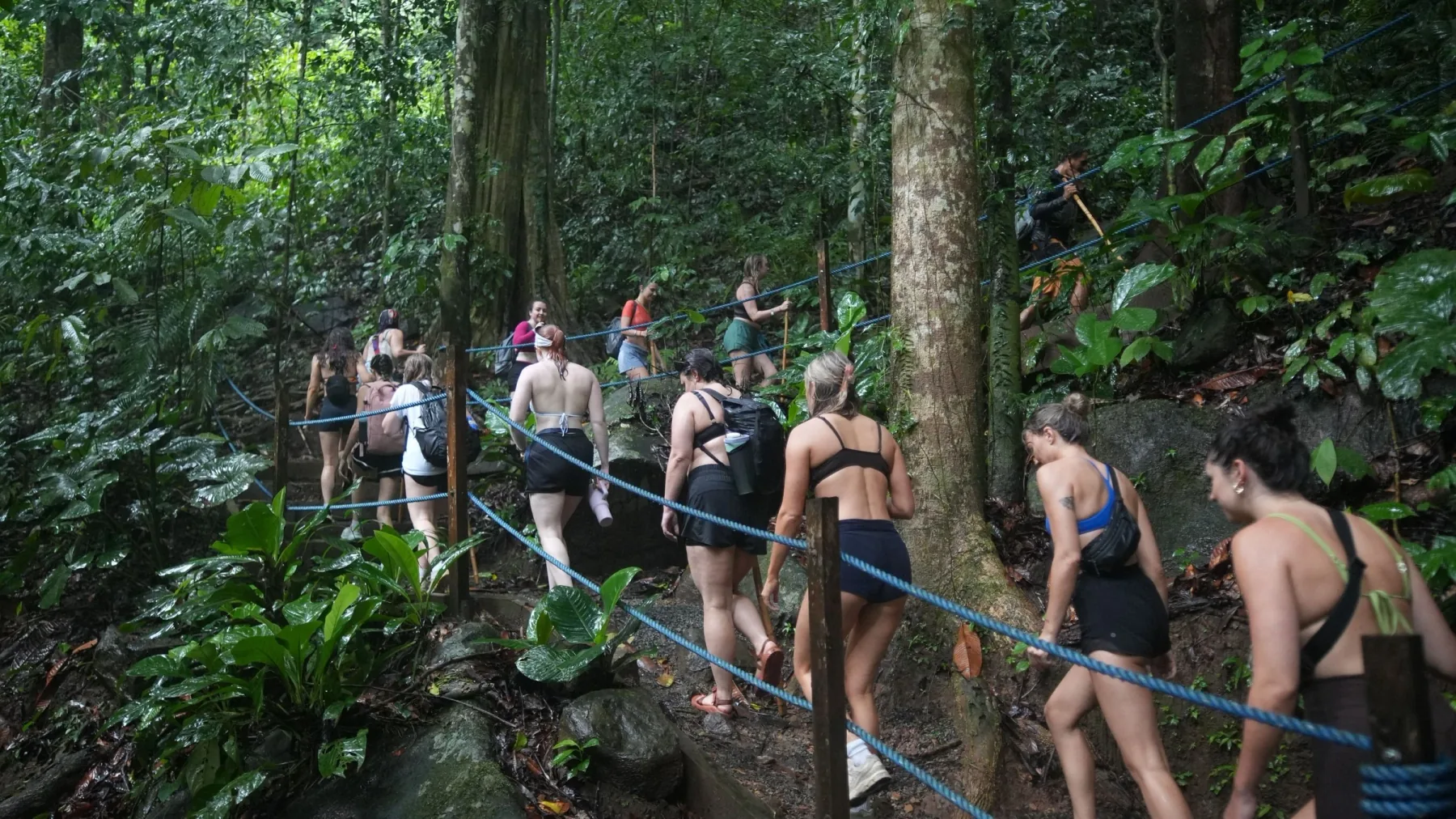 Retreat group hiking through the Costa Rican rainforest