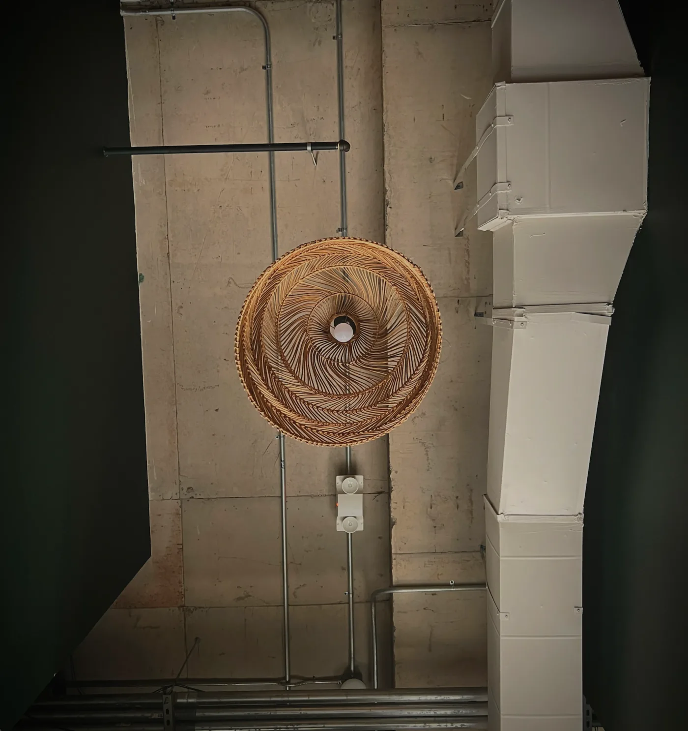 High Ceilings at the REWILD studio