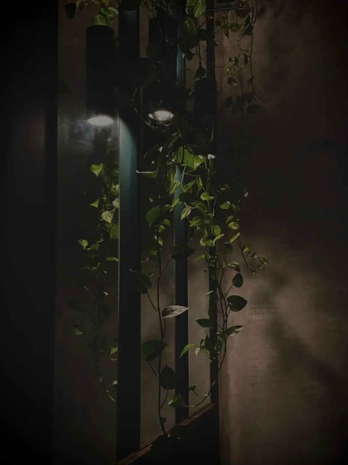 Mirrors at the REWILD studio
