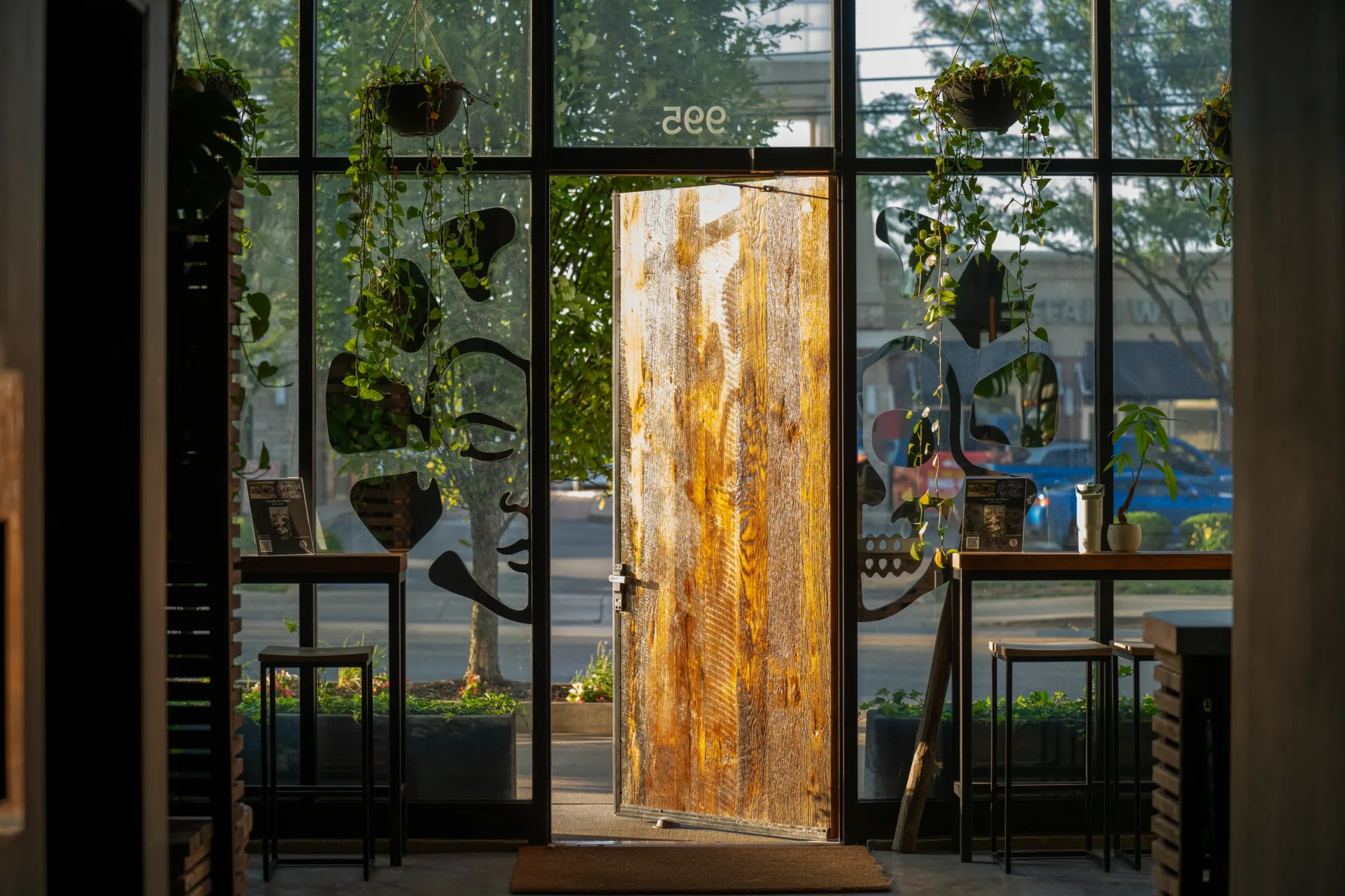 The plant-filled entrance to the REWILD studio